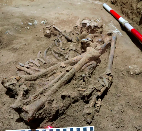 Ο ανθρώπινος σκελετός που βρέθηκε στο Βόρνεο, που χρονολογείται πριν από περίπου 31.000 χρόνια, απεικονίζεται σε μια σπηλιά στο Ανατολικό Καλιμαντάν, Βόρνεο, Ινδονησία, φωτογραφίζεται στις 4 Μαρτίου 2020. Τα λείψανα, τα οποία έχουν χρονολογηθεί στα 31.000 χρόνια, σηματοδοτούν την παλαιότερη ένδειξη για ακρωτηριασμός που έχει ακόμη ανακαλυφθεί.