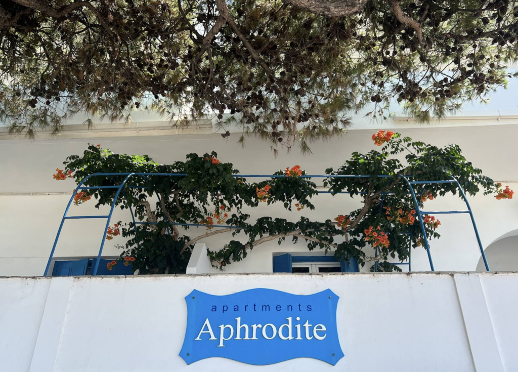 Screenshot 2026-02-10 at 14.43.11